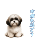 [お疲れ様です専用]ラサアプソ（個別スタンプ：8）