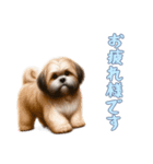 [お疲れ様です専用]ラサアプソ（個別スタンプ：14）