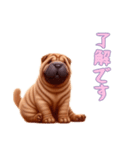 [了解です専用]ペキニーズ（個別スタンプ：2）
