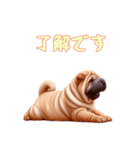[了解です専用]ペキニーズ（個別スタンプ：3）