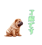 [了解です専用]ペキニーズ（個別スタンプ：4）