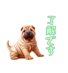 [了解です専用]ペキニーズ（個別スタンプ：5）