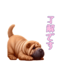 [了解です専用]ペキニーズ（個別スタンプ：8）