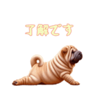 [了解です専用]ペキニーズ（個別スタンプ：9）