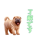 [了解です専用]ペキニーズ（個別スタンプ：10）