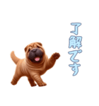 [了解です専用]ペキニーズ（個別スタンプ：11）