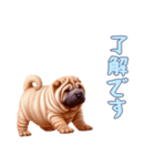 [了解です専用]ペキニーズ（個別スタンプ：12）