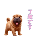 [了解です専用]ペキニーズ（個別スタンプ：13）