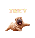 [了解です専用]ペキニーズ（個別スタンプ：14）