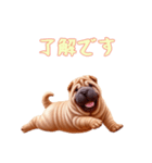 [了解です専用]ペキニーズ（個別スタンプ：15）