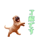 [了解です専用]ペキニーズ（個別スタンプ：16）