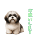 [お願いします専用]ラサアプソ（個別スタンプ：2）