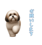 [お願いします専用]ラサアプソ（個別スタンプ：4）