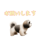 [お願いします専用]ラサアプソ（個別スタンプ：5）
