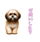 [お願いします専用]ラサアプソ（個別スタンプ：9）