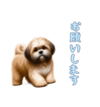 [お願いします専用]ラサアプソ（個別スタンプ：10）