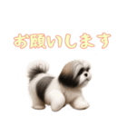[お願いします専用]ラサアプソ（個別スタンプ：13）