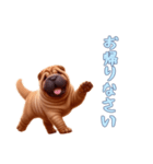 [お帰りなさい専用]ペキニーズ（個別スタンプ：2）