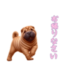 [お帰りなさい専用]ペキニーズ（個別スタンプ：3）
