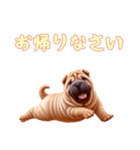 [お帰りなさい専用]ペキニーズ（個別スタンプ：5）