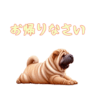 [お帰りなさい専用]ペキニーズ（個別スタンプ：10）