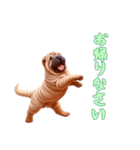 [お帰りなさい専用]ペキニーズ（個別スタンプ：11）