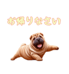 [お帰りなさい専用]ペキニーズ（個別スタンプ：15）