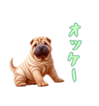 [オッケー専用]ペキニーズ（個別スタンプ：3）