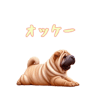 [オッケー専用]ペキニーズ（個別スタンプ：4）