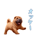[オッケー専用]ペキニーズ（個別スタンプ：7）
