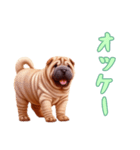 [オッケー専用]ペキニーズ（個別スタンプ：9）