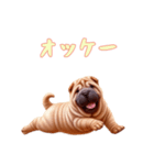 [オッケー専用]ペキニーズ（個別スタンプ：10）