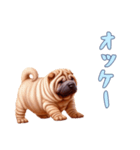 [オッケー専用]ペキニーズ（個別スタンプ：13）