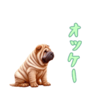 [オッケー専用]ペキニーズ（個別スタンプ：14）