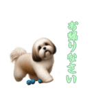 [お帰りなさい専用]ラサアプソ（個別スタンプ：4）