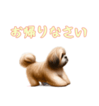 [お帰りなさい専用]ラサアプソ（個別スタンプ：6）