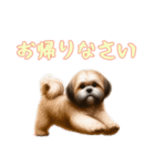 [お帰りなさい専用]ラサアプソ（個別スタンプ：7）