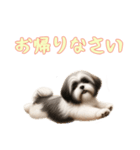 [お帰りなさい専用]ラサアプソ（個別スタンプ：9）