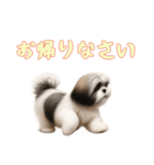 [お帰りなさい専用]ラサアプソ（個別スタンプ：12）