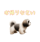 [お帰りなさい専用]ラサアプソ（個別スタンプ：15）