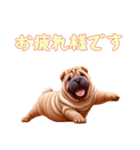[お疲れ様です専用]ペキニーズ（個別スタンプ：1）