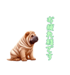 [お疲れ様です専用]ペキニーズ（個別スタンプ：2）