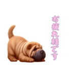 [お疲れ様です専用]ペキニーズ（個別スタンプ：5）