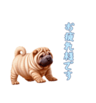 [お疲れ様です専用]ペキニーズ（個別スタンプ：8）