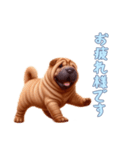 [お疲れ様です専用]ペキニーズ（個別スタンプ：9）