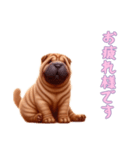[お疲れ様です専用]ペキニーズ（個別スタンプ：10）