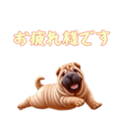[お疲れ様です専用]ペキニーズ（個別スタンプ：11）