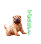 [お疲れ様です専用]ペキニーズ（個別スタンプ：12）