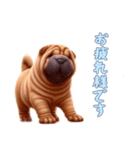 [お疲れ様です専用]ペキニーズ（個別スタンプ：14）