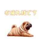 [お疲れ様です専用]ペキニーズ（個別スタンプ：16）